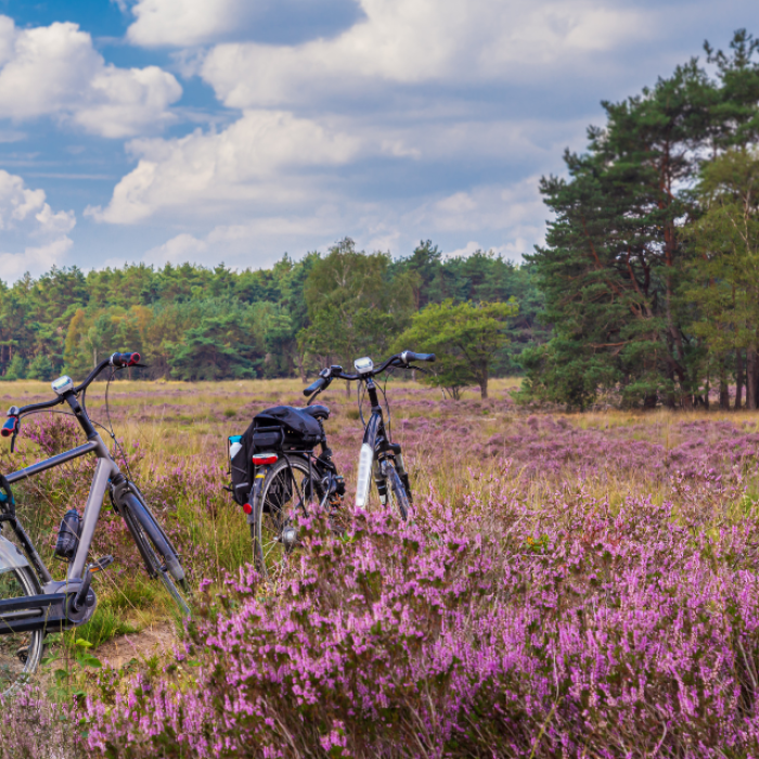 Fietsen in de natuur